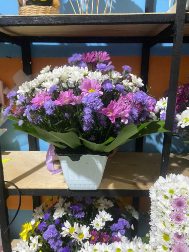 Toko Bunga Terbesar King Florist rumahdukamentengpalangkaraya – Pilihan Utama Florist Profesional di